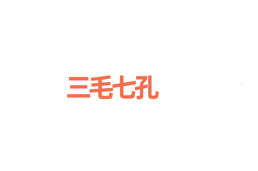 三毛七孔