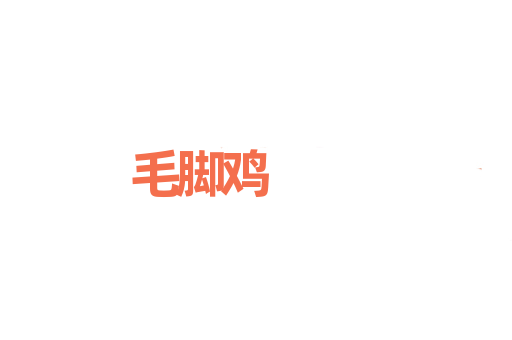 毛脚鸡